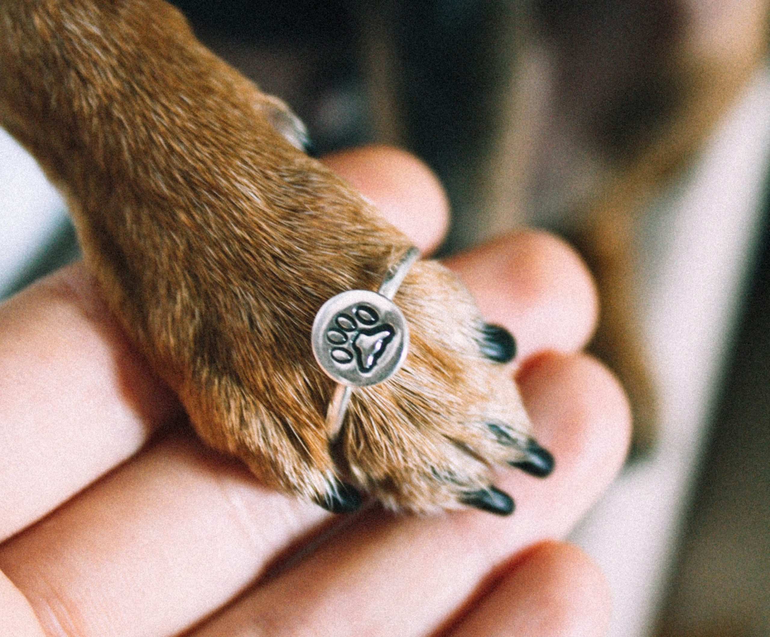 差替え用看取り